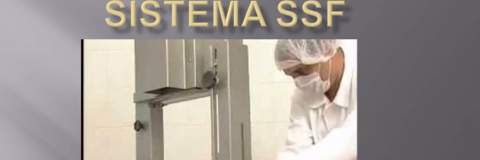 Imagem Ilustrativa